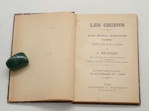 Les chiens. Races, hygiène, alimentation, rations. Premiers soins en cas de maladie