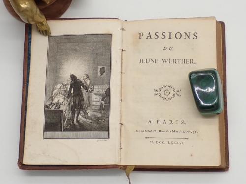 Portada del libro de Passions du jeune Werther