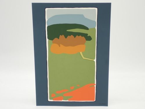 Portada del libro de Serigrafía de Pedro Salaberri