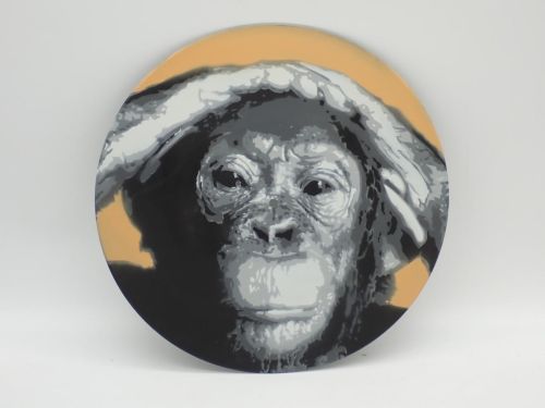 Portada del libro de Chimpancé [ESTARCIDO SOBRE VINILO]