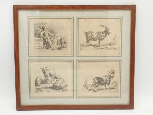 Portada del libro de Animalia ad vivum delineata, et aquaforti aeri impressa, studio et arte Nicolas Berchemi. F. de Wit...