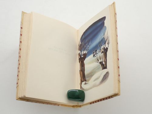 Portada del libro de Saints de Pierre